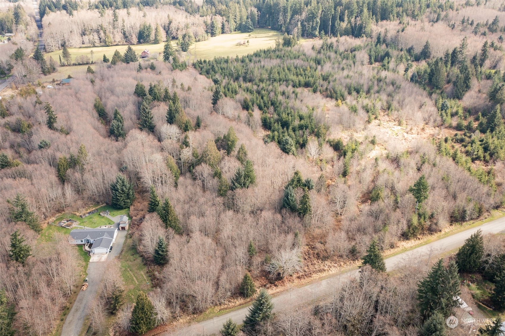 125 Howard Road Port Angeles, WA 98363 - Photo 7 of 18 a view of a yard with trees