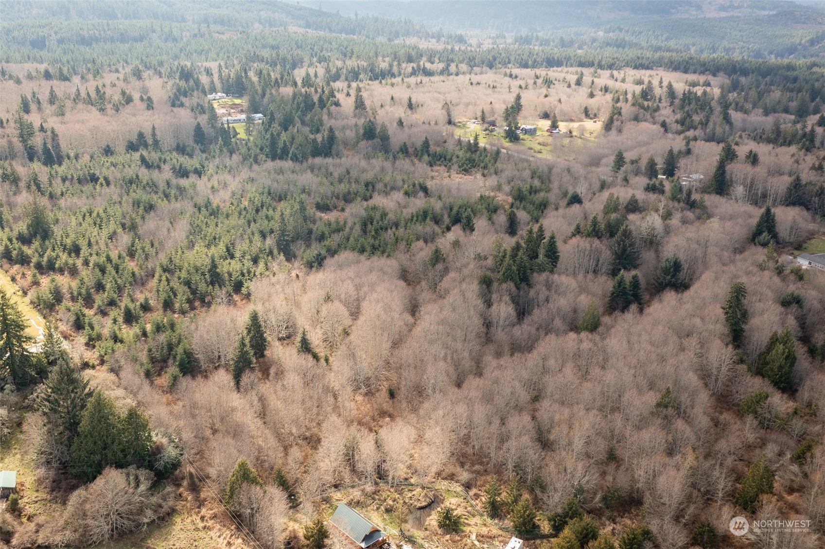 125 Howard Road Port Angeles, WA 98363 - Photo 9 of 18 a view of a lot of trees and houses