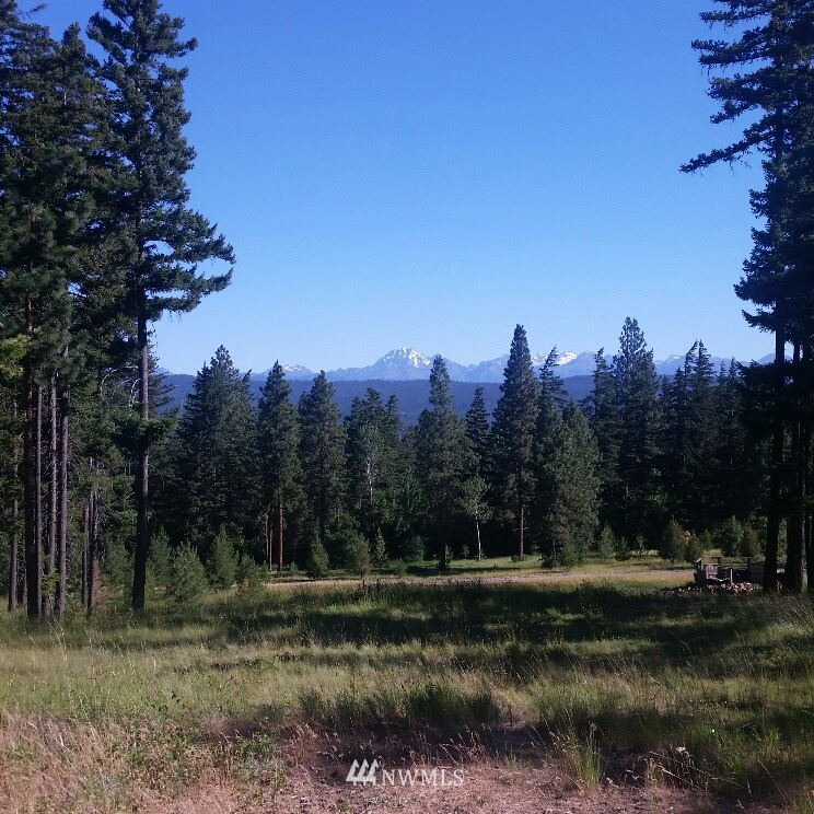 830 Markovich Road Cle Elum, WA 98922 - Photo 22 of 25 Gallery Image 22
