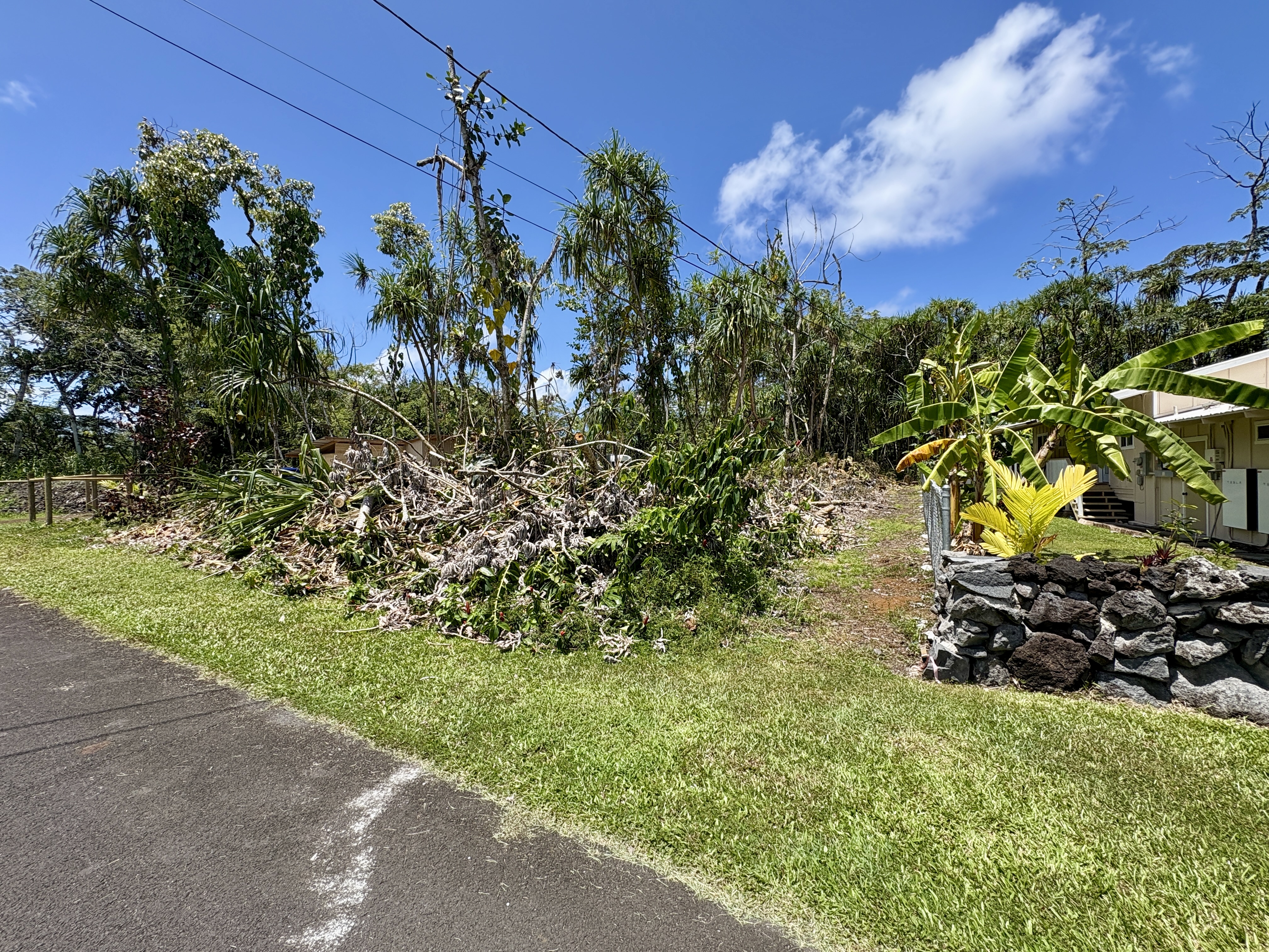 1626 Opae Street Pahoa, HI 96778 - Photo 3 of 8