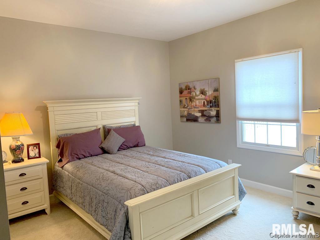 2501 Sage Lane Springfield, IL 62711 - Photo 28 of 35