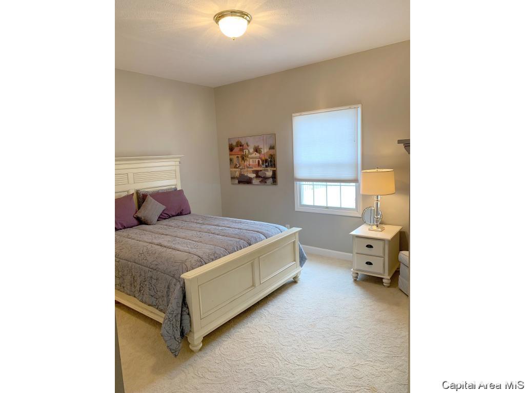 2501 Sage Lane Springfield, IL 62711 - Photo 29 of 35