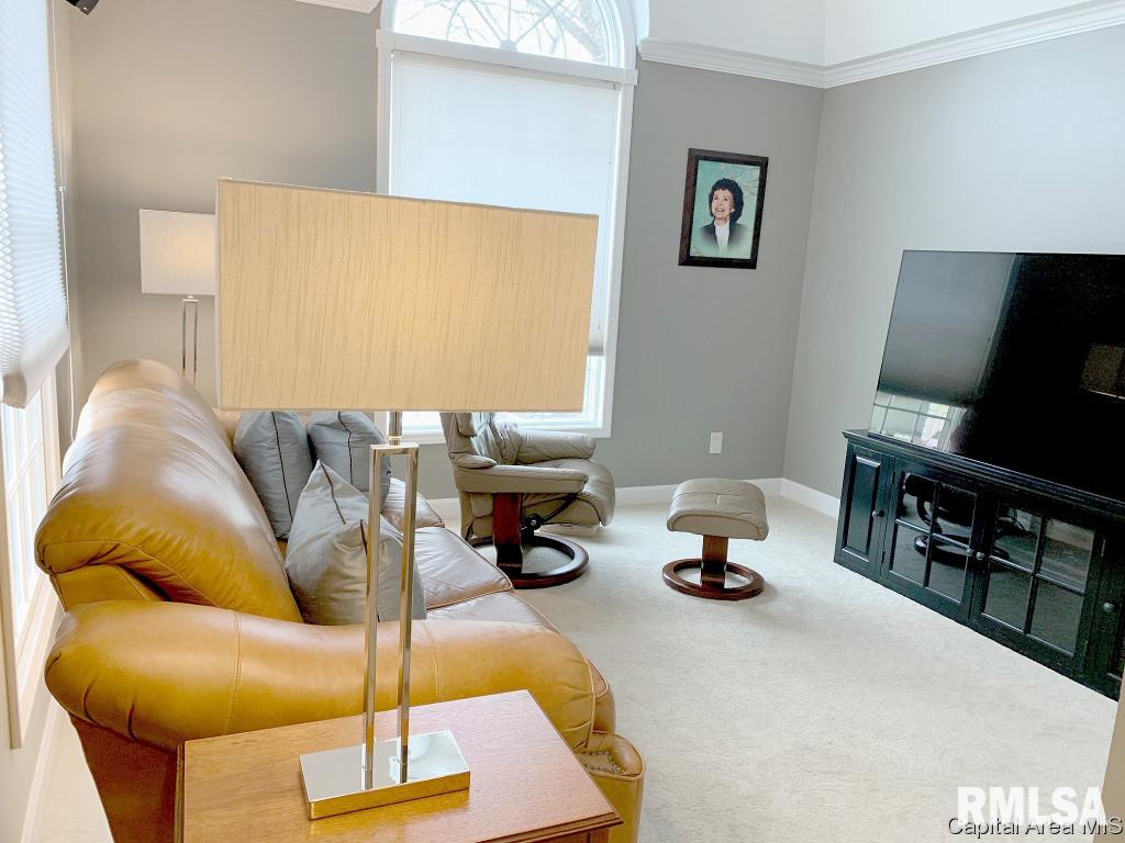 2501 Sage Lane Springfield, IL 62711 - Photo 30 of 35