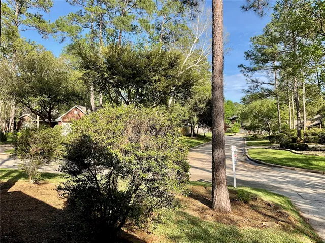 a house that has a tree in it