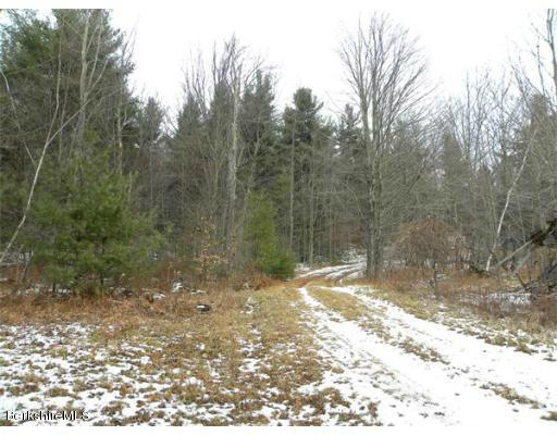 Sumner Stetson Road Heath, MA 01346 - Photo 11 of 13 a view of a yard with trees in the background