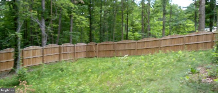 260 Tacketts Mill Road Stafford, VA 22556 - Photo 7 of 9 Back yard