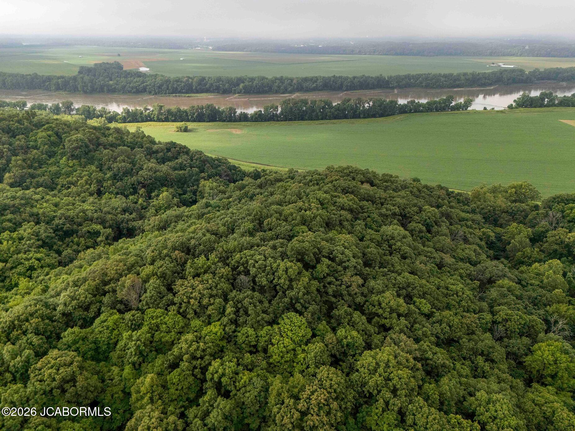 Tbd Talley Road Hartsburg, MO 65039 - Photo 78 of 106