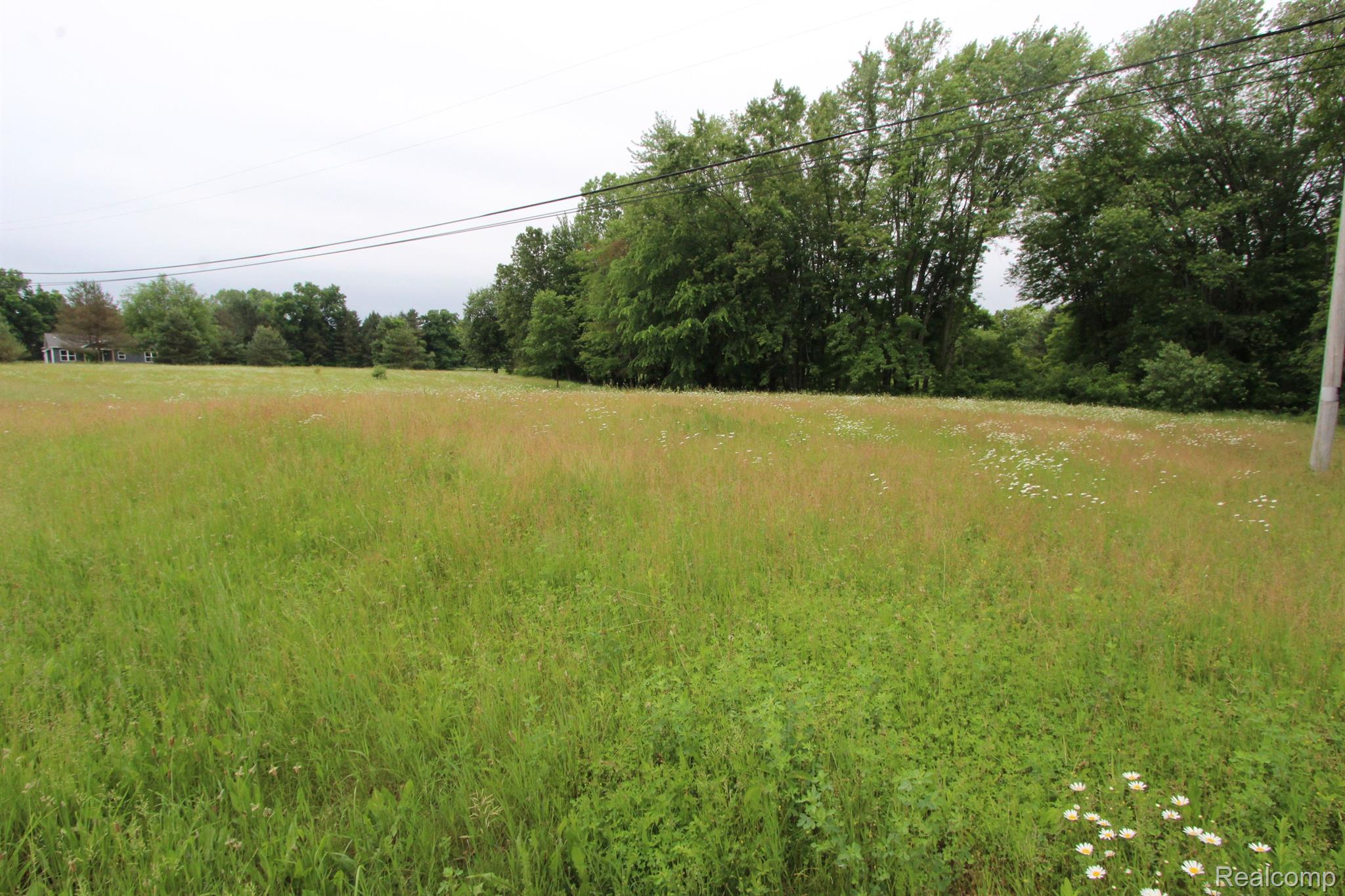 2975 East Coon Lake Road Howell, MI 48843 - Photo 95 of 175 NORTH END OF PROPERTY LOOKING SOUTH TO HOUSE