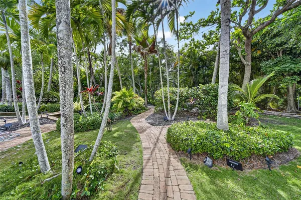 a view of a garden with plants