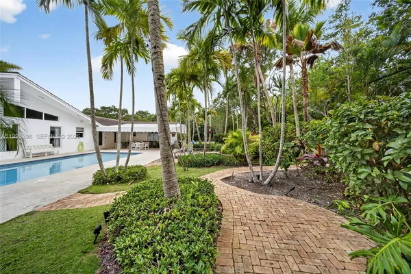 a view of a garden with palm trees