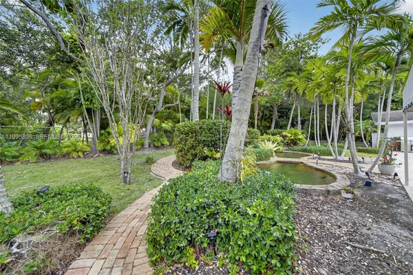 a view of a garden with plants