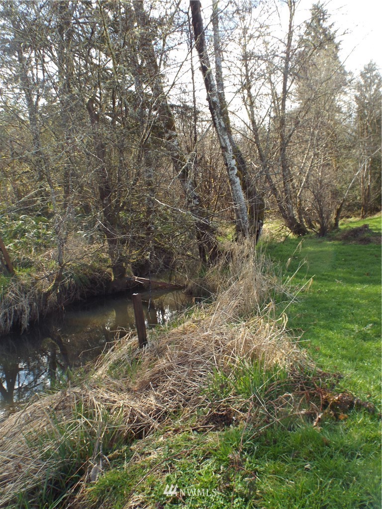 1073-35 King Road Winlock, WA 98596 - Photo 8 of 17