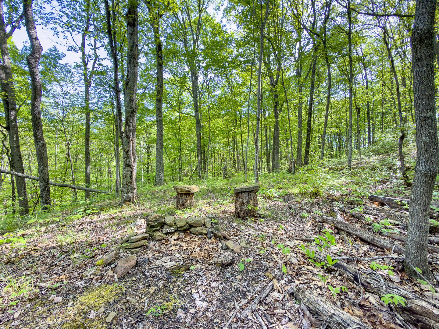 2 Perry Ridge Road Wilkesville, OH 45695 - Photo 27 of 27 Perry Ridge Rd Tract 2-19