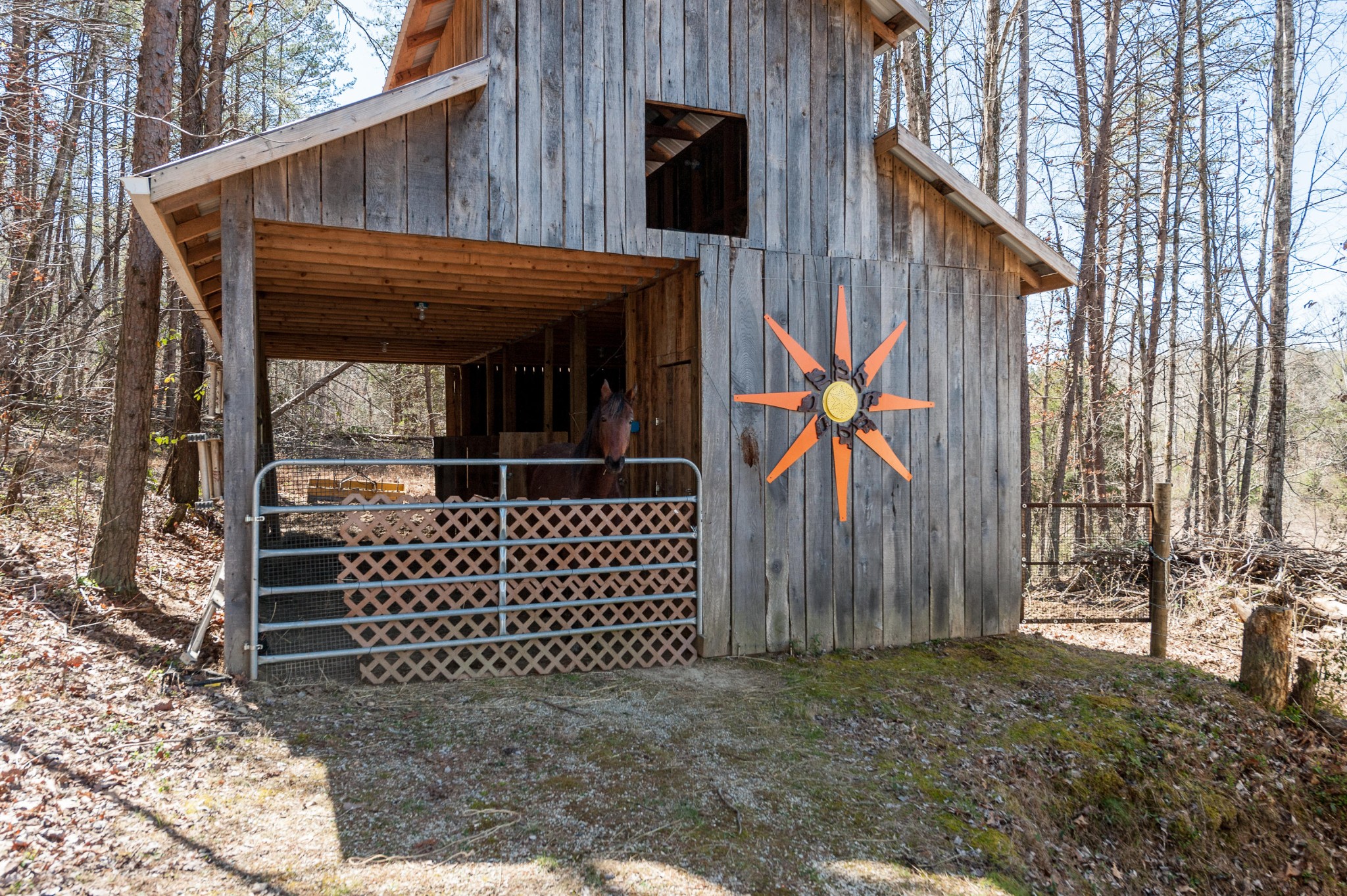 999 Salem Valley Road Philadelphia, TN 37846 - Photo 28 of 39 Gallery Image 28