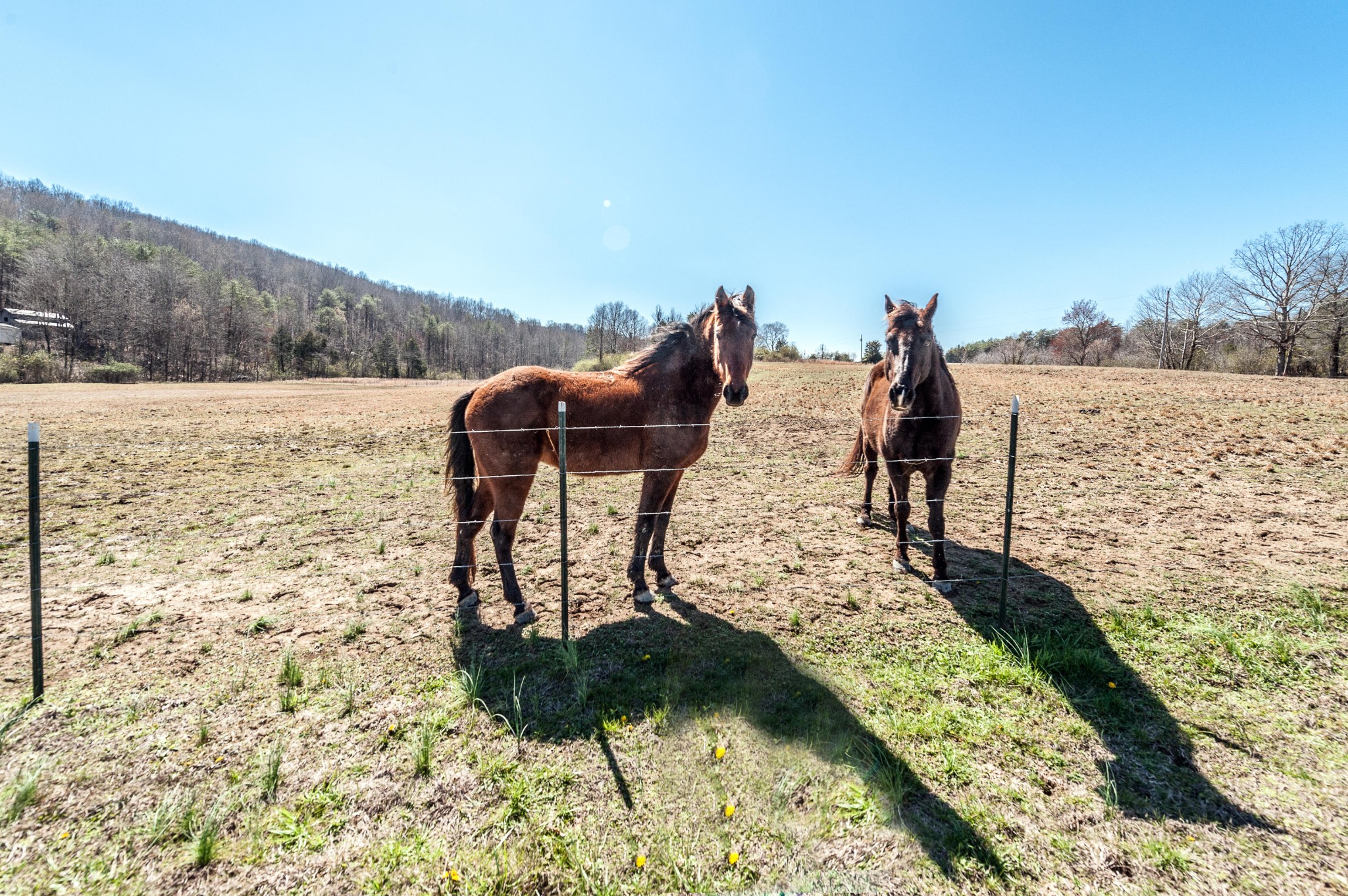 999 Salem Valley Road Philadelphia, TN 37846 - Photo 29 of 39 Gallery Image 29