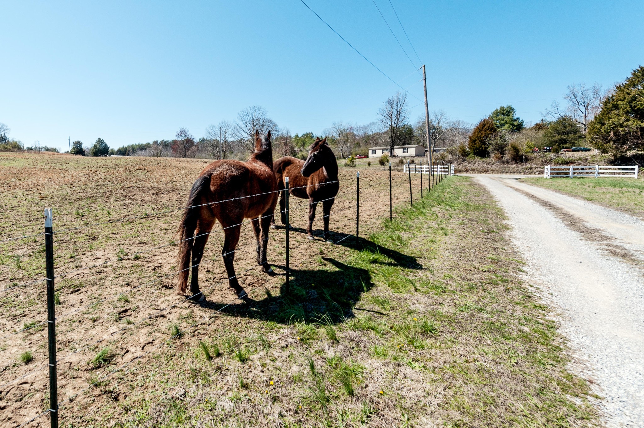 999 Salem Valley Road Philadelphia, TN 37846 - Photo 30 of 39 Gallery Image 30