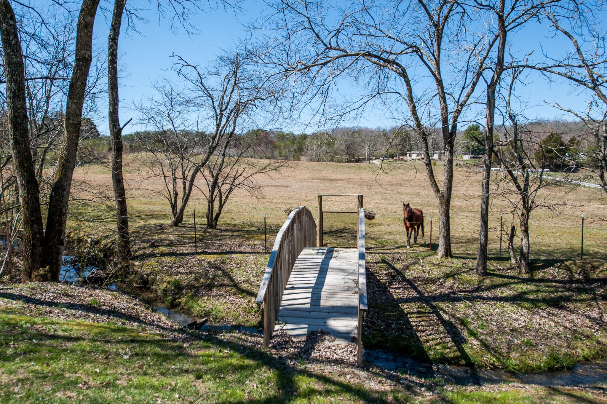 999 Salem Valley Road Philadelphia, TN 37846 - Photo 32 of 39 Gallery Image 32