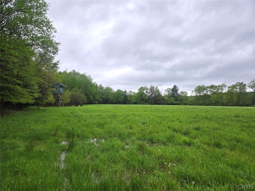Hermitage Road Warsaw, NY 14569 - Photo 16 of 39