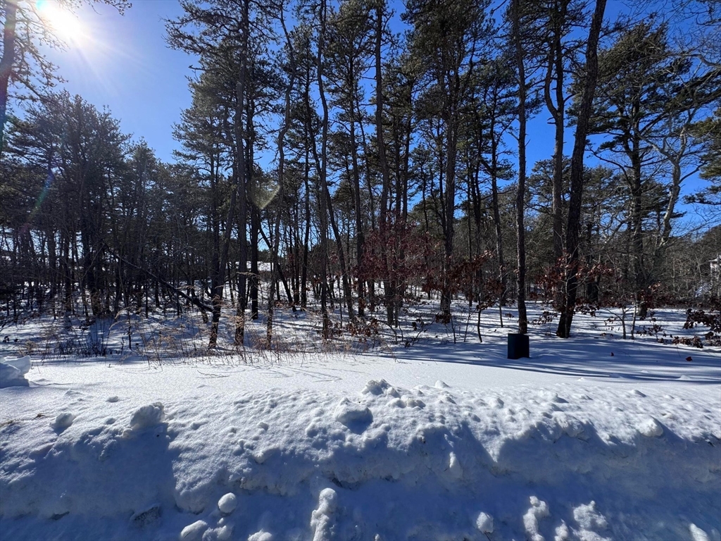 30 Sam Hollow Road Wellfleet, MA 02667 - Photo 12 of 16 a view of snow on the side of the road