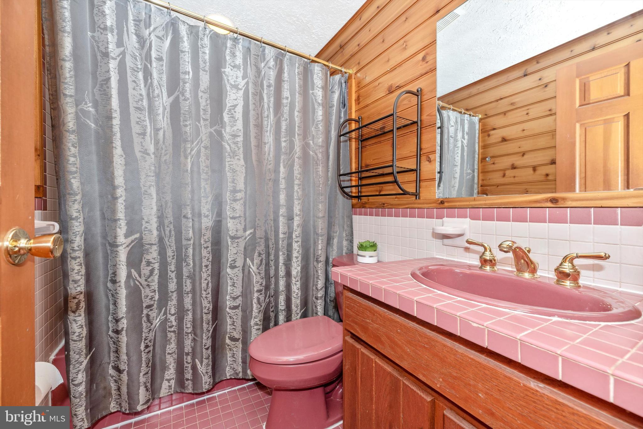 6838 Mountain Church Road Middletown, MD 21769 - Photo 28 of 49 Full Bathroom on main floor