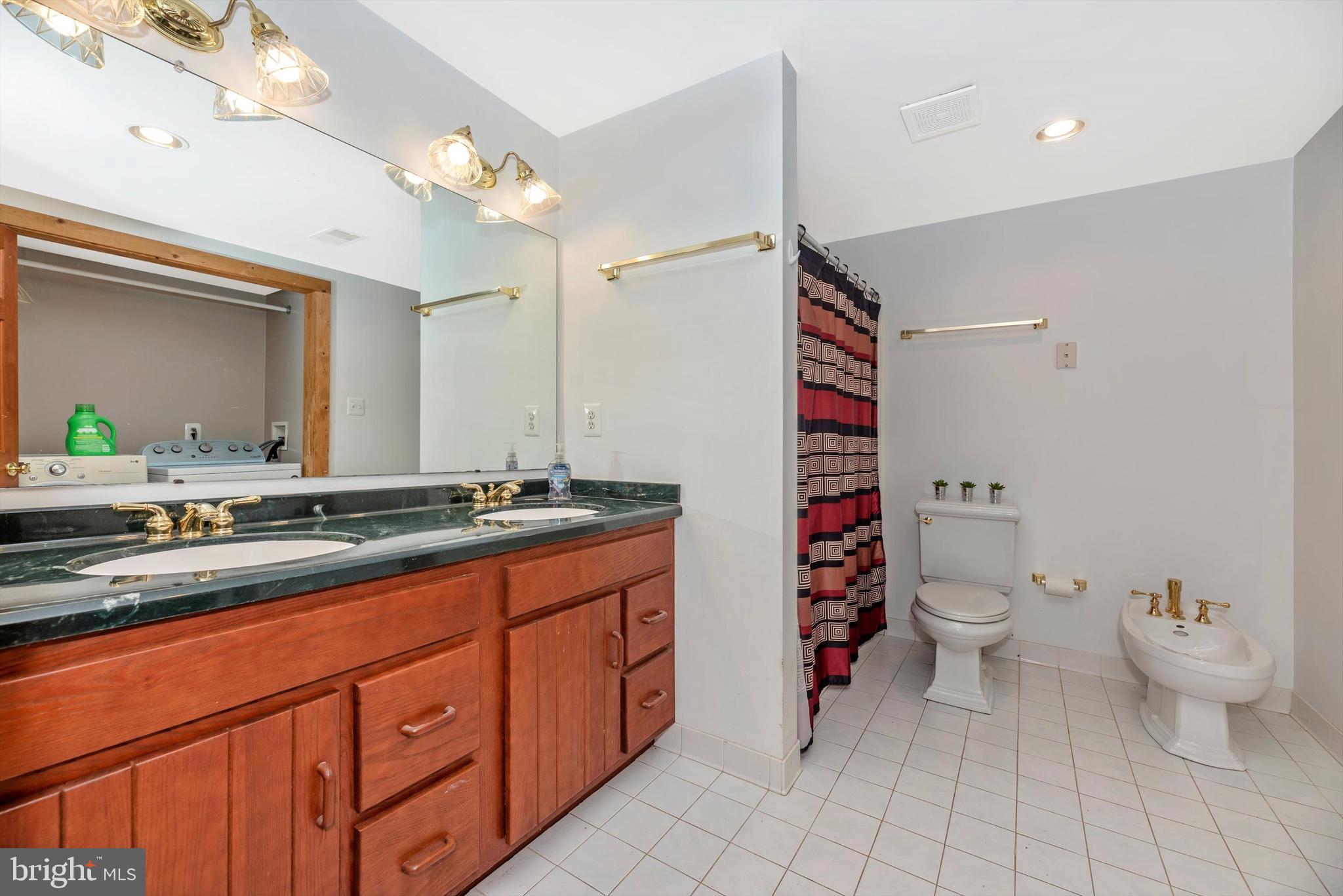 6838 Mountain Church Road Middletown, MD 21769 - Photo 40 of 49 Lower level Full Bathroom