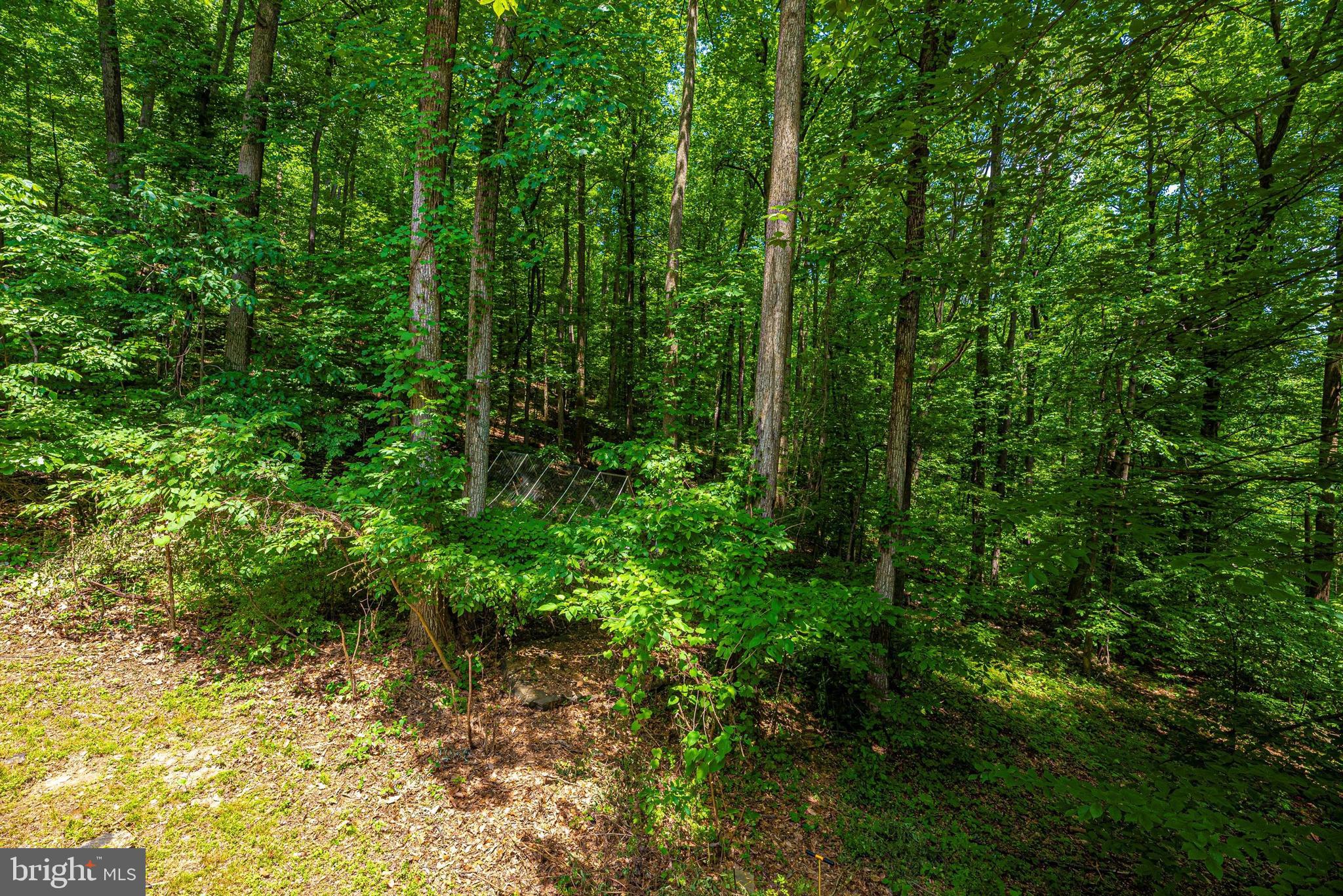 6838 Mountain Church Road Middletown, MD 21769 - Photo 48 of 49