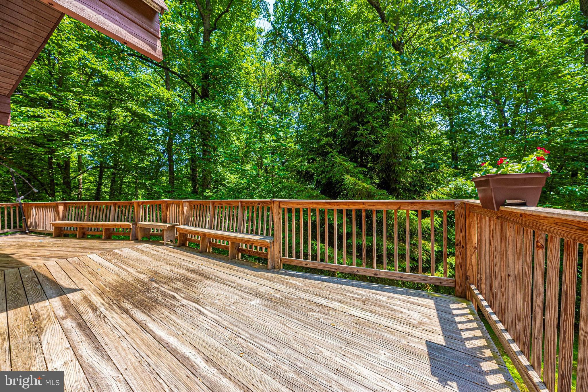 6838 Mountain Church Road Middletown, MD 21769 - Photo 6 of 49 Entertain friends!