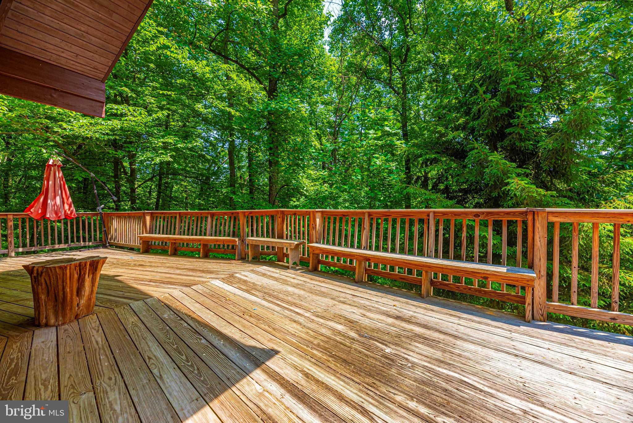 6838 Mountain Church Road Middletown, MD 21769 - Photo 8 of 49