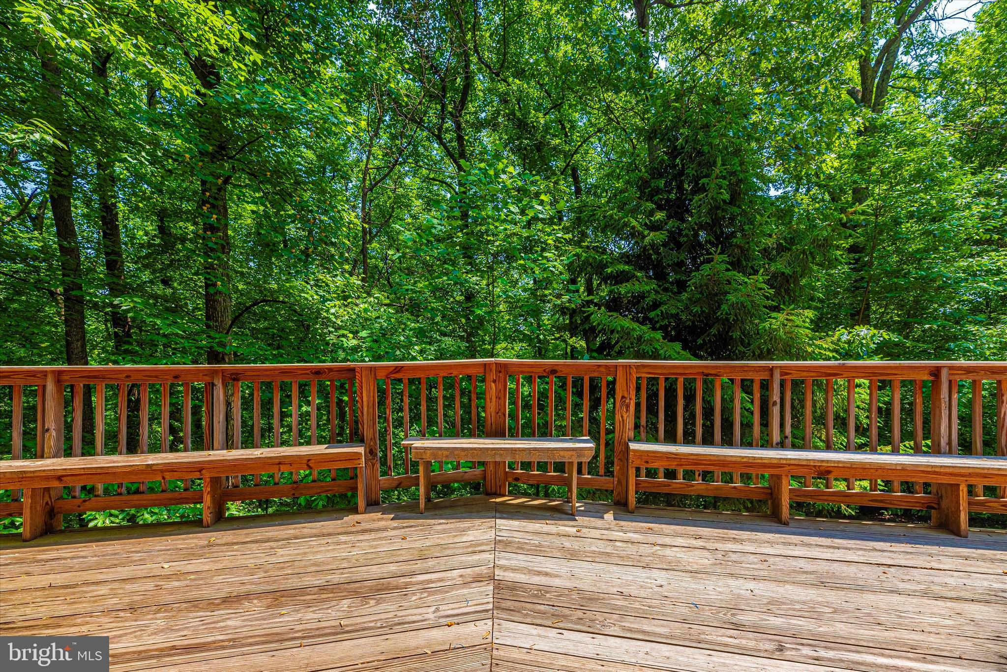 6838 Mountain Church Road Middletown, MD 21769 - Photo 9 of 49