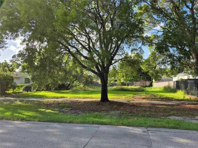 a view of a park that has a large tree