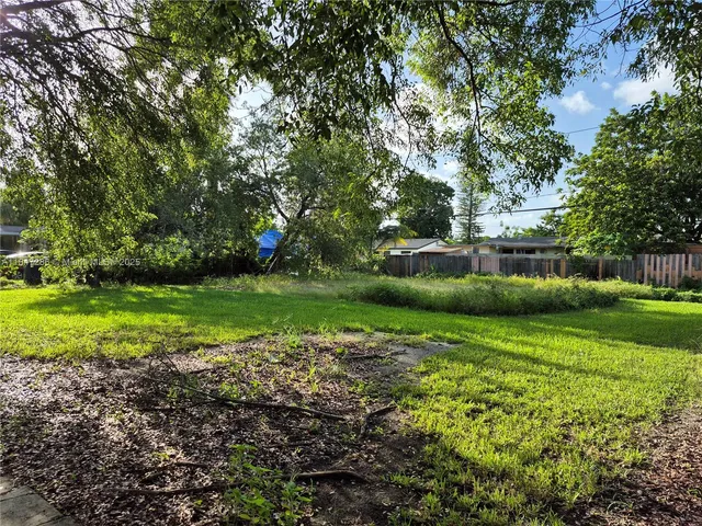 a view of a park that has large trees
