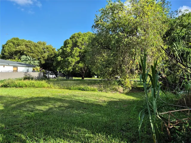 a view of a field with a tree