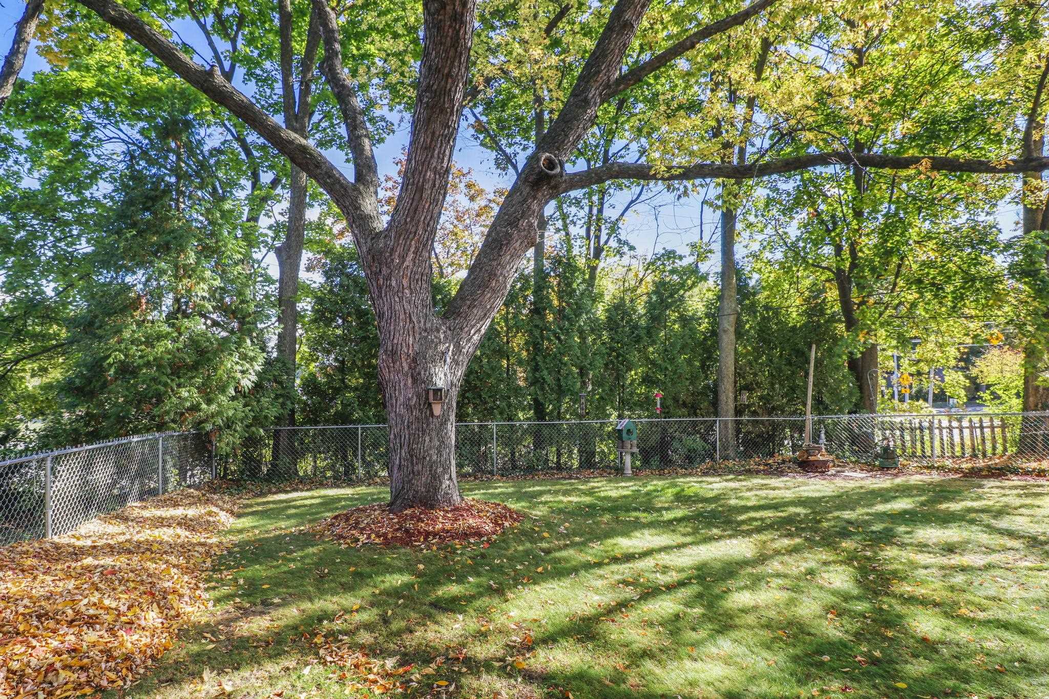 4402 Vale Circle Madison, WI 53711 - Photo 6 of 47