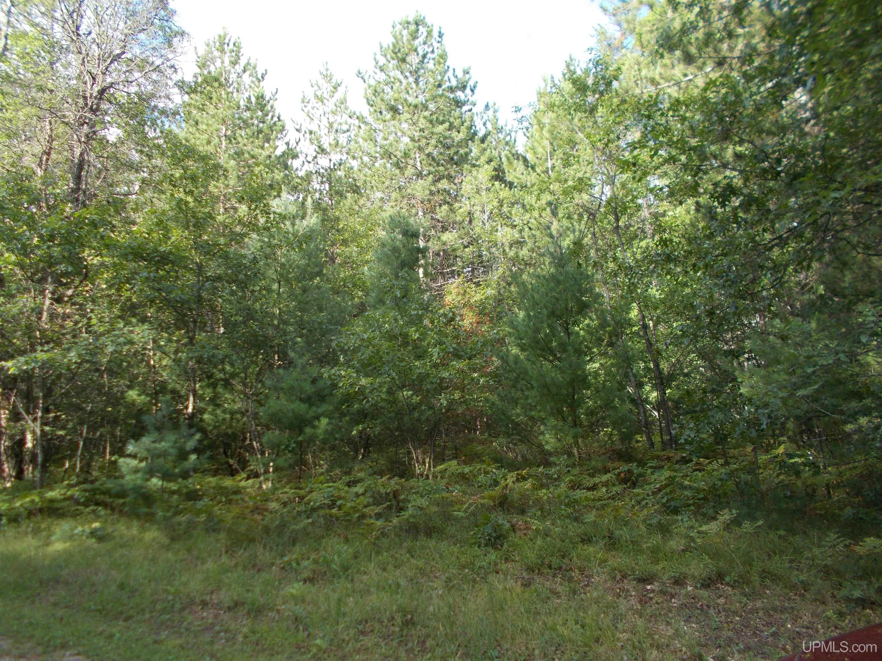 5.17-ac 5.17-ac County Road Florence, WI 54121 - Photo 8 of 11 Gallery Image 8