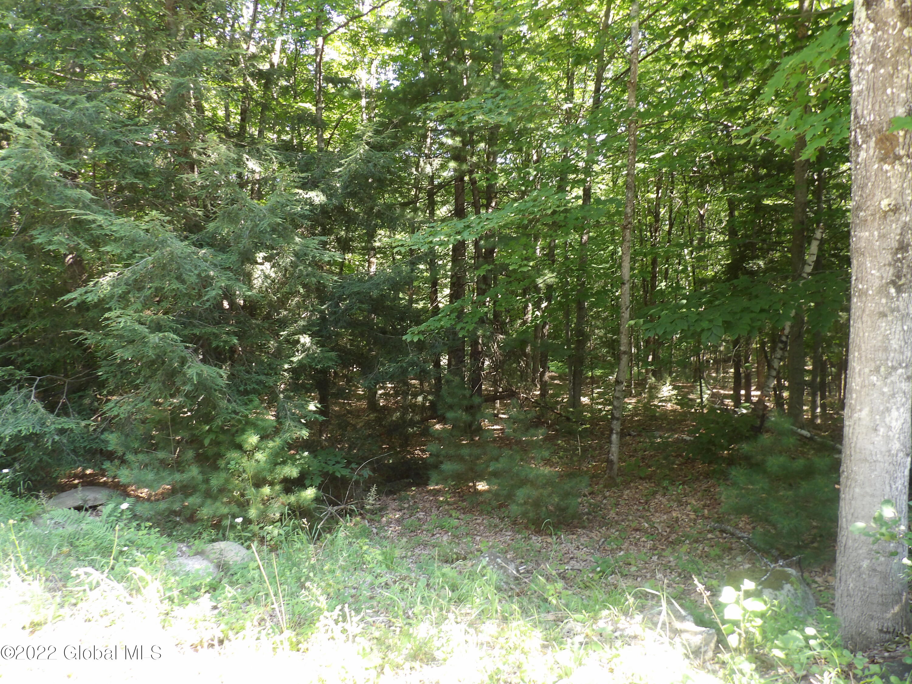 0 Hadley Hill Road Hadley, NY 12835 - Photo 5 of 9 100_0152