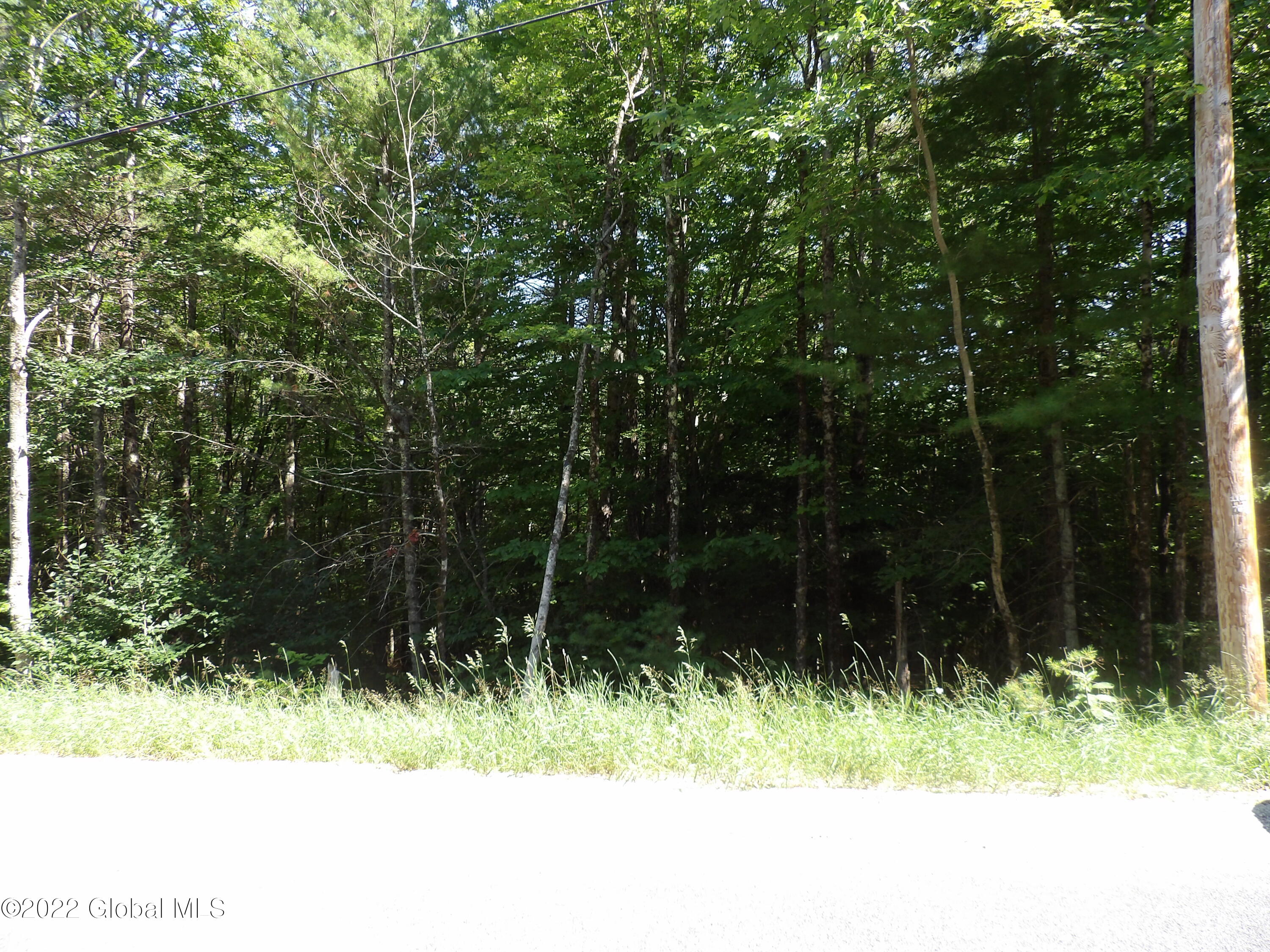 0 Hadley Hill Road Hadley, NY 12835 - Photo 6 of 9 100_0153