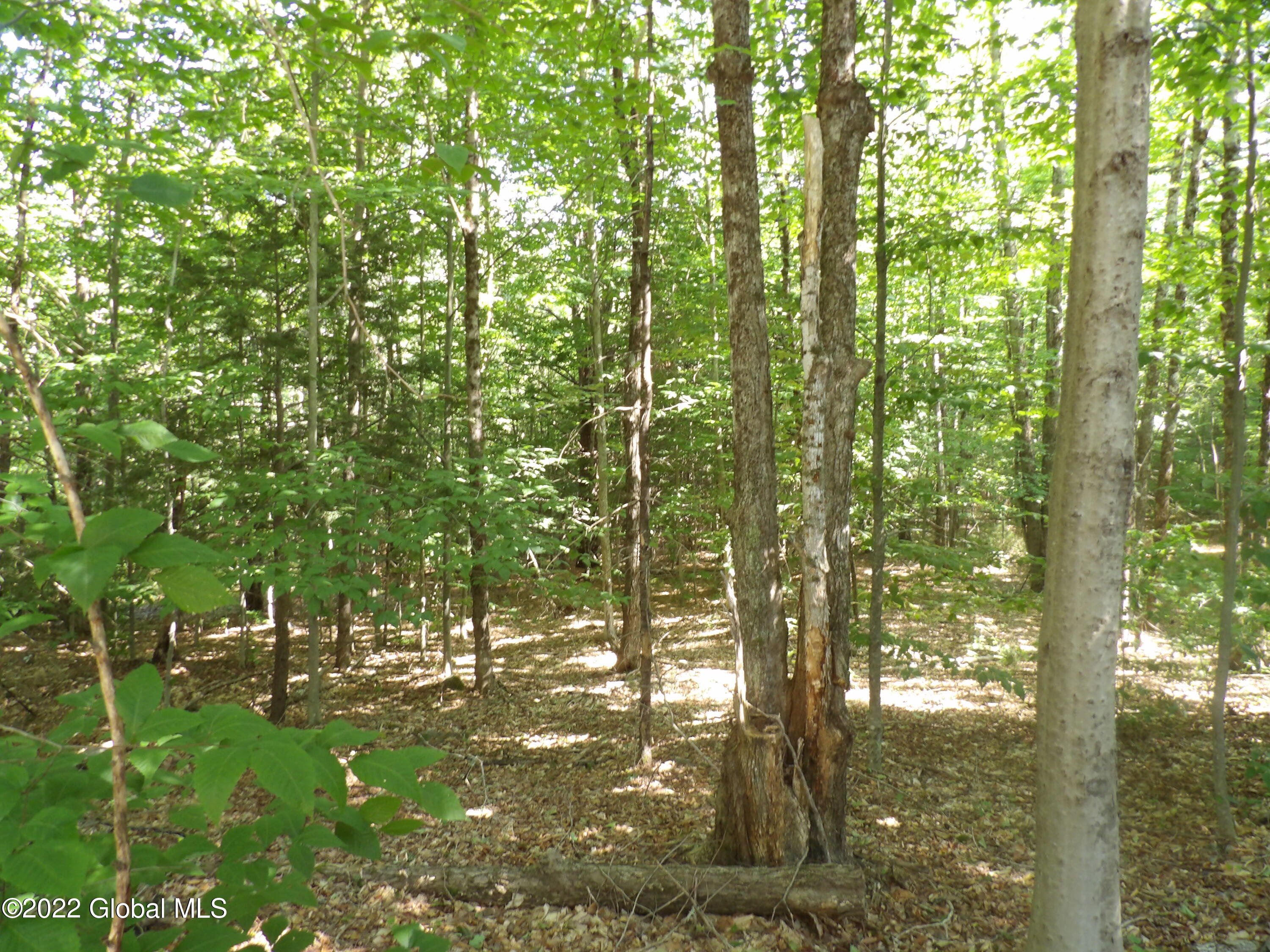 0 Hadley Hill Road Hadley, NY 12835 - Photo 7 of 9 100_0154