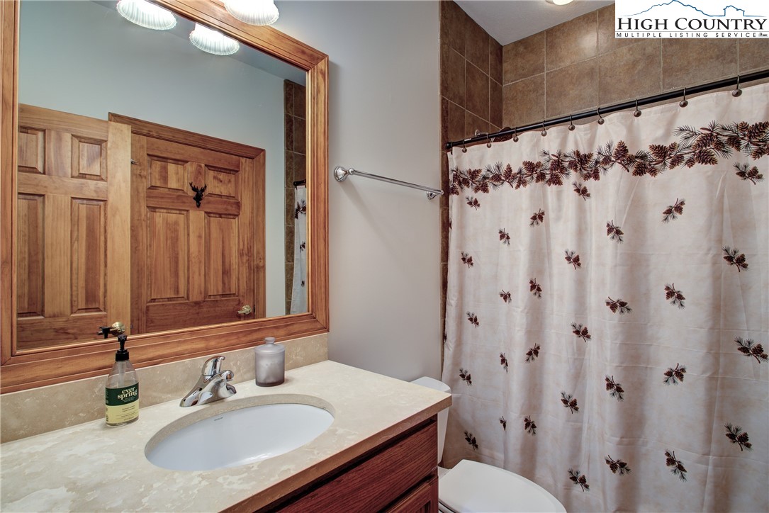 202 Pleasant View, Unit 9D Sugar Mountain, NC 28604 - Photo 38 of 48 a bathroom with a sink and a mirror