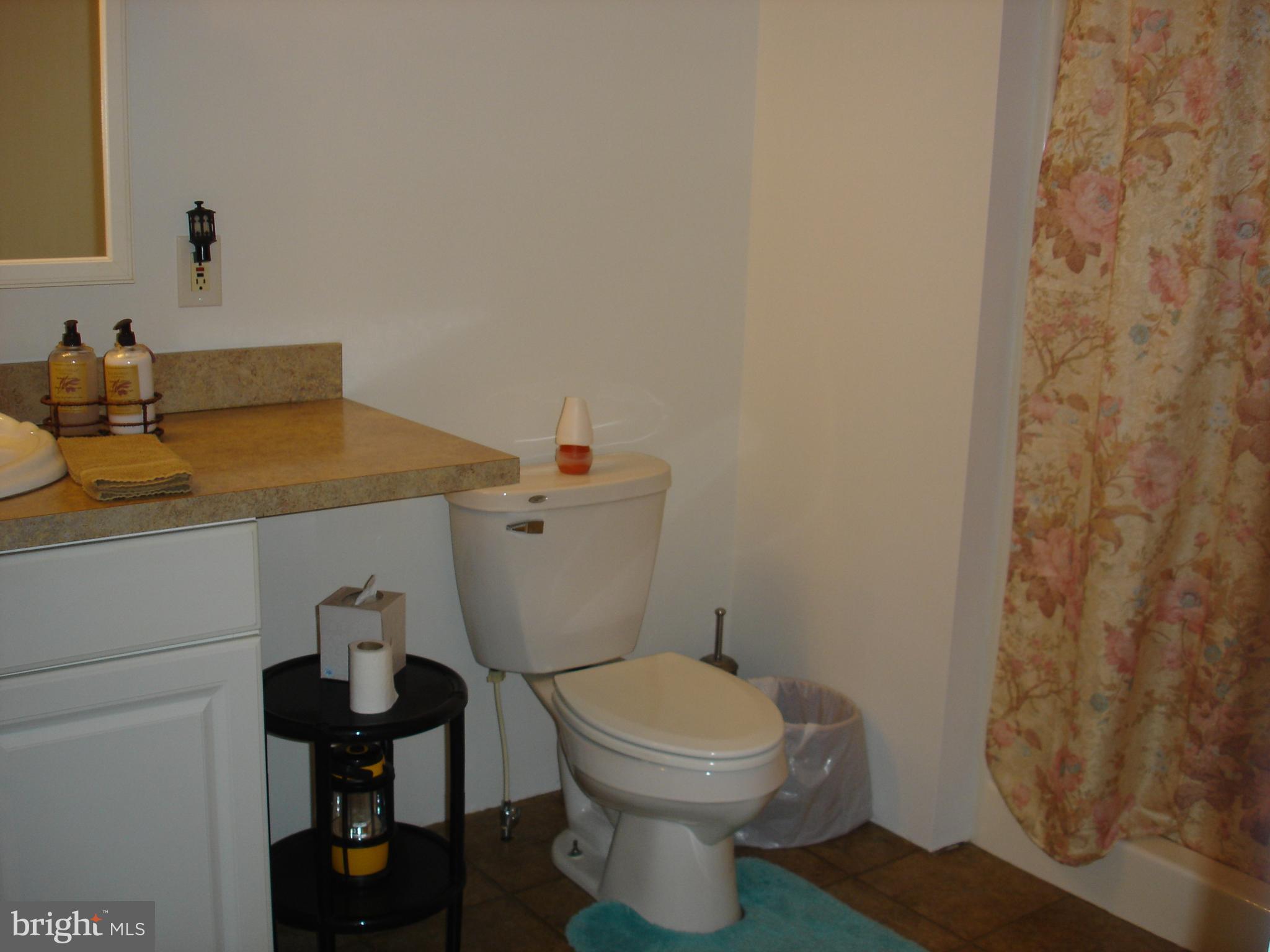 1225 Conewago Creek Road Manchester, PA 17345 - Photo 42 of 82 Gallery Image 42