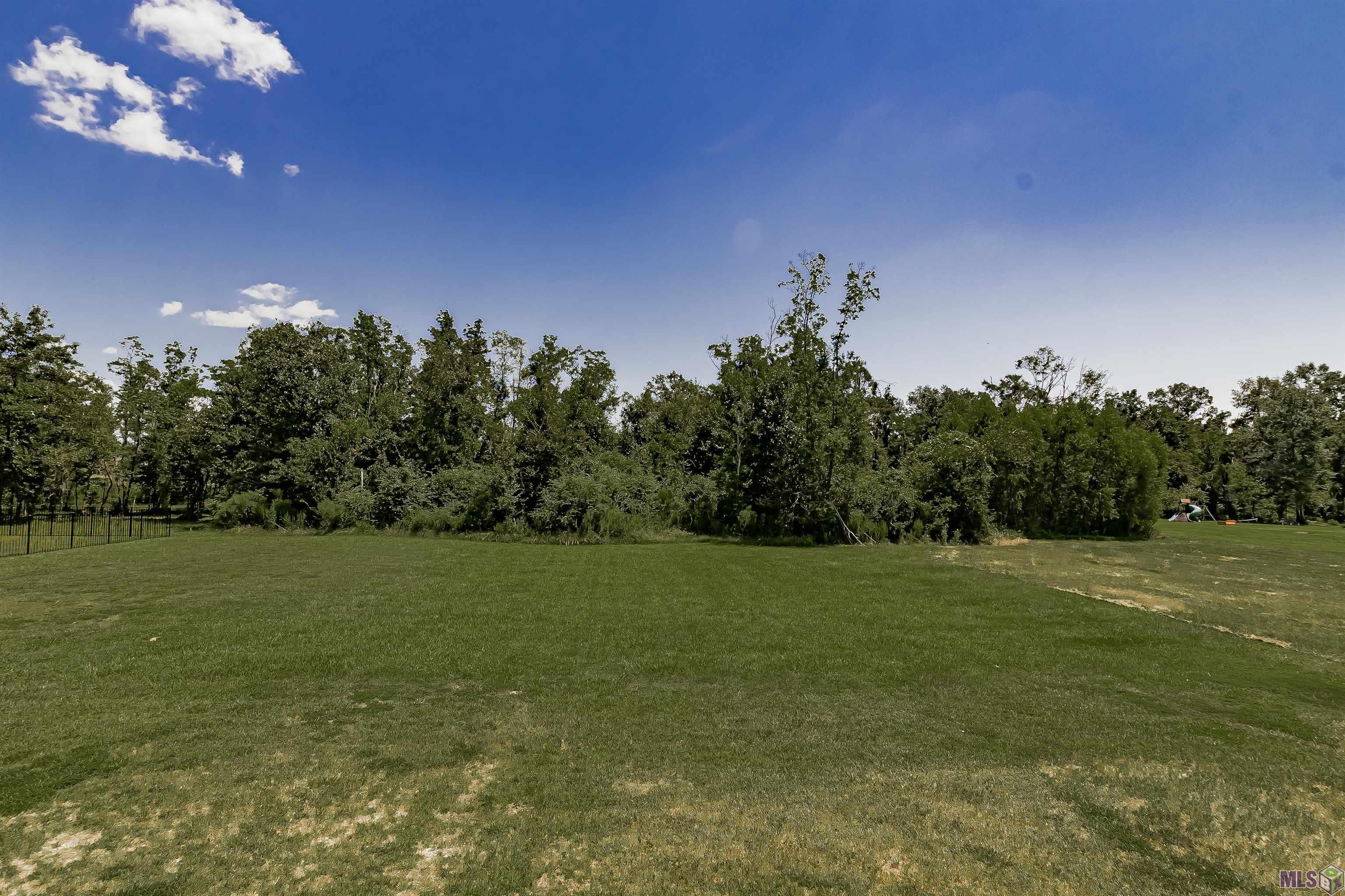 43541 Collyns Cove Prairieville, LA 70769 - Photo 29 of 29