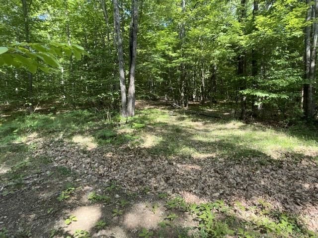 4933 East Johnson Road Lake City, MI 49651 - Photo 4 of 15