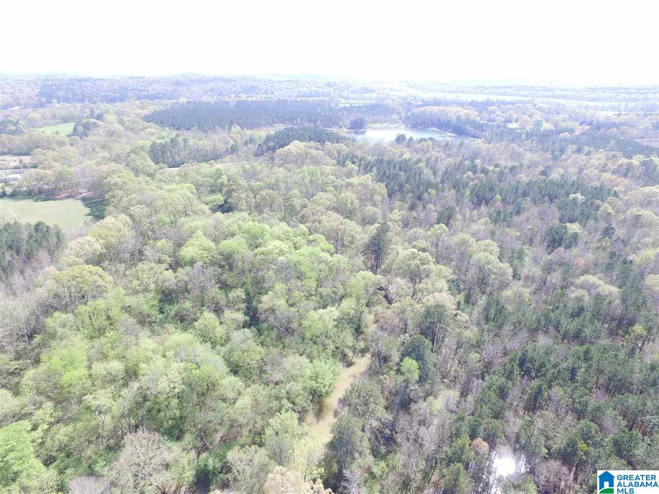 Pinedale Road, Unit 160 Ashville, AL 35953 - Photo 4 of 10