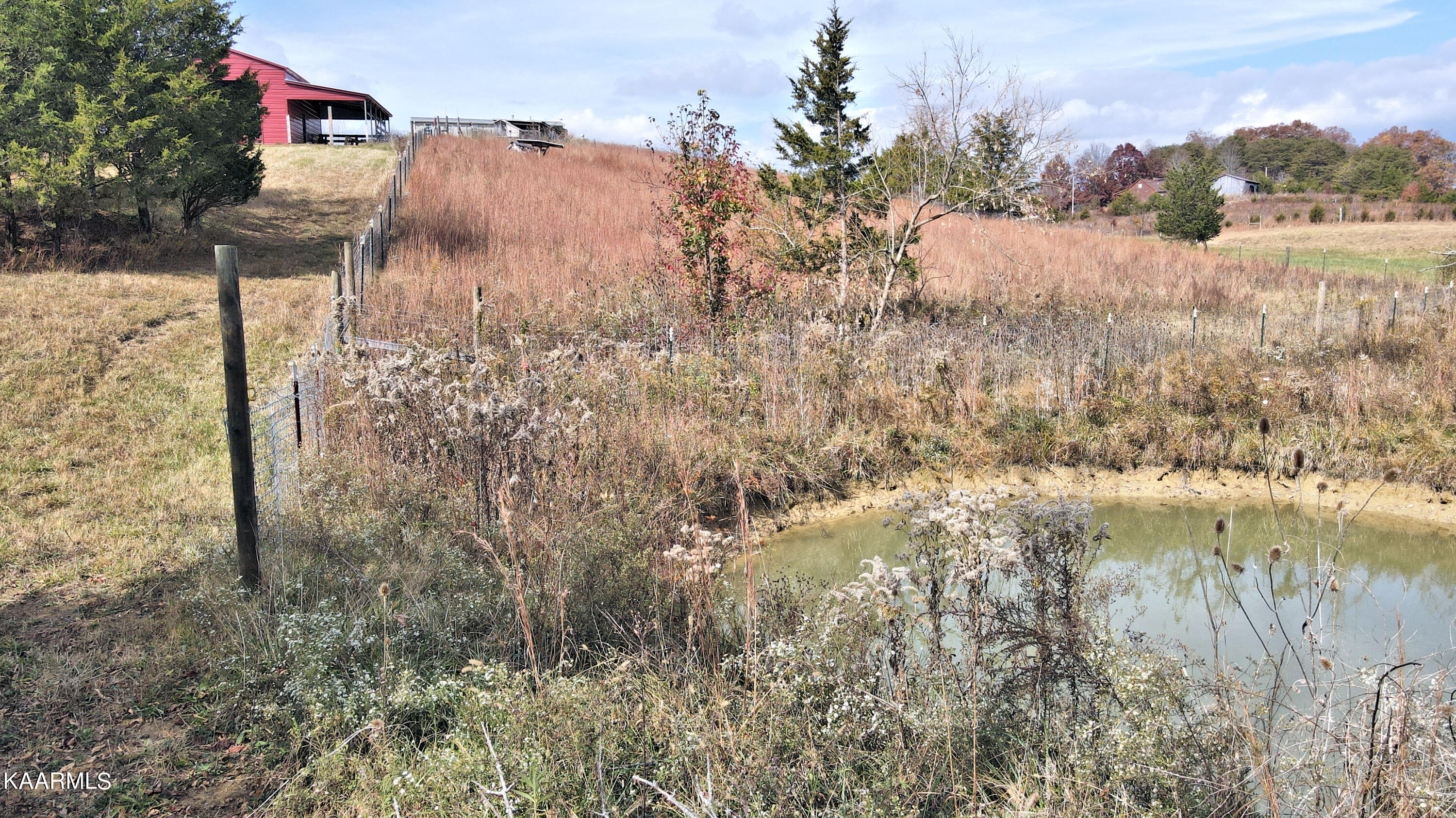 507 Phillipi Road Mohawk, TN 37810 - Photo 18 of 21 pond