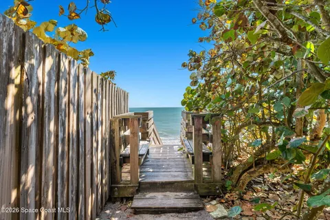 a view of a yard with a tree