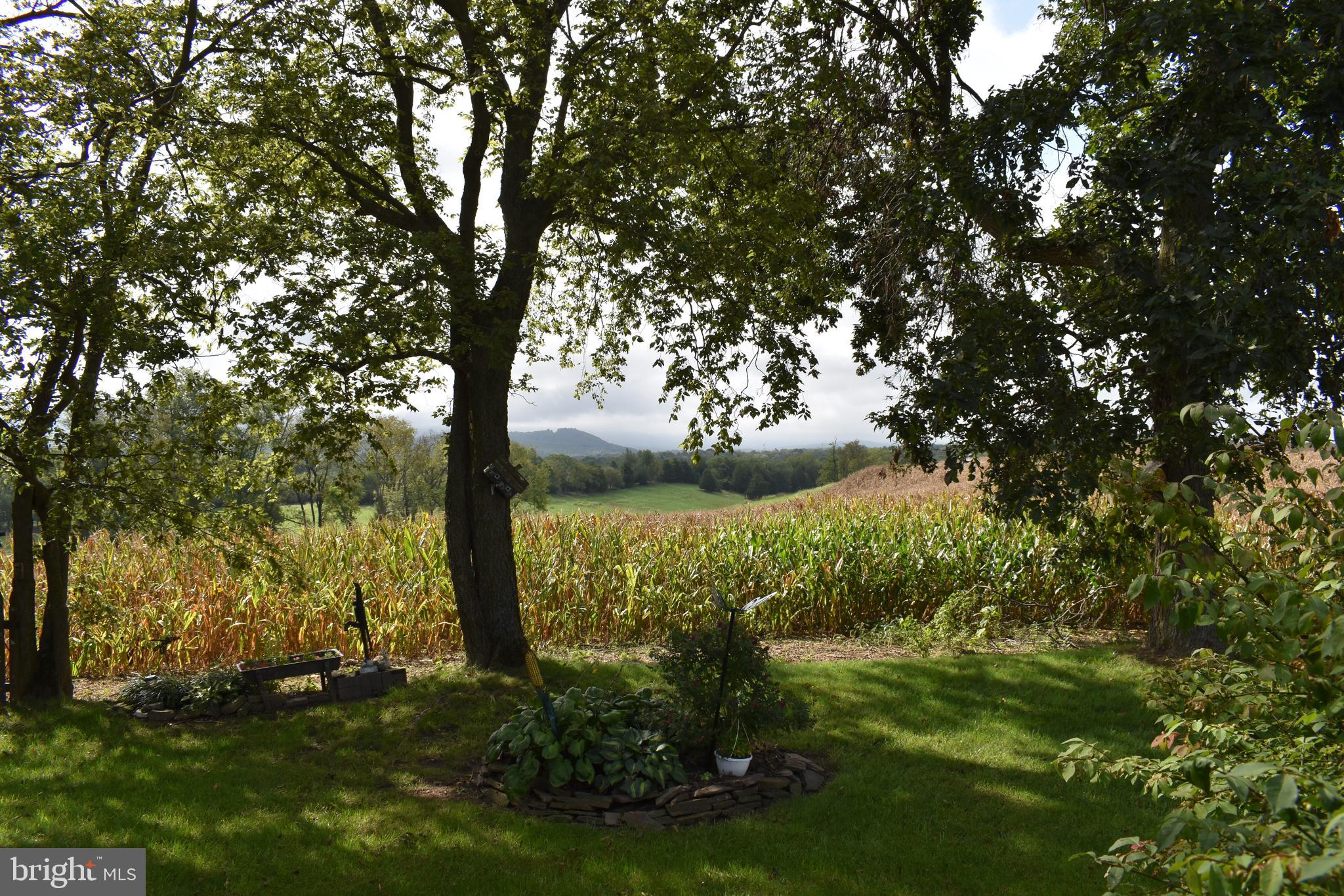 1936 Cattail Run Road Charles Town, WV 25414 - Photo 57 of 68 Gallery Image 57