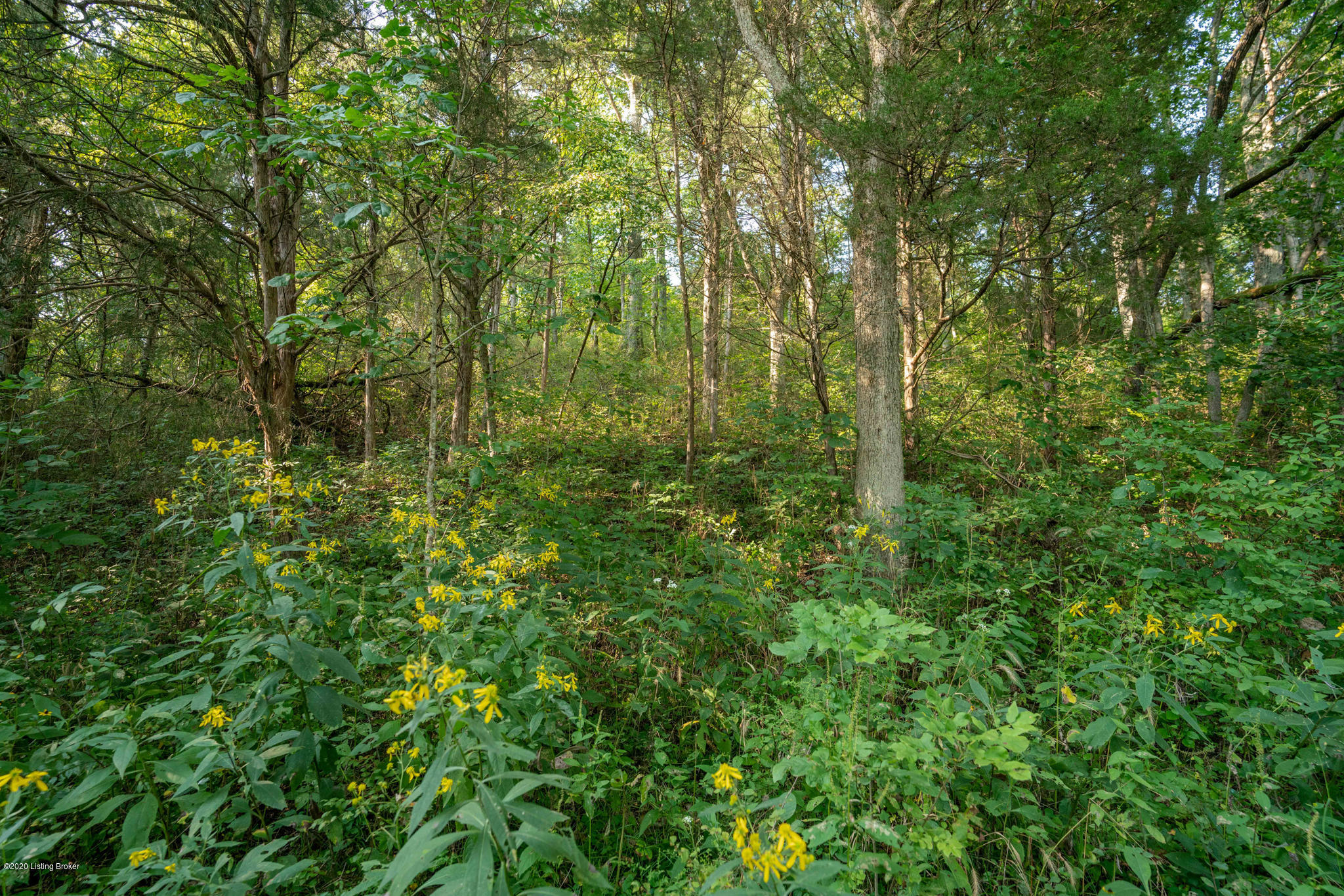 100 Deer Run Road Coxs Creek, KY 40013 - Photo 13 of 32 451 Deer Run Rd Coxs Creek KY 40013 (12