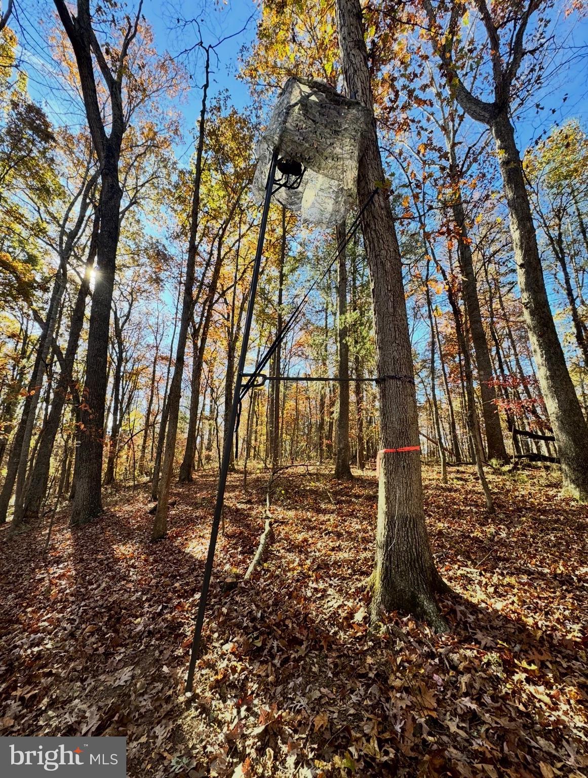 23 Richmond Road Castleton, VA 22716 - Photo 40 of 46 a backyard of a house with lots of green space