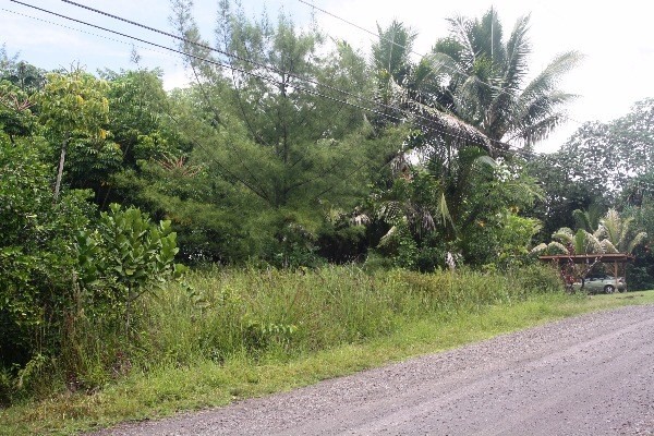 15-1909 Beach Road Keaau, HI 96749 - Photo 1 of 8 Gallery Image 1
