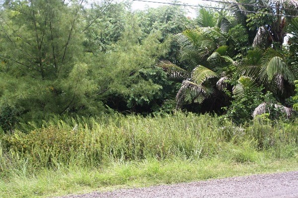 15-1909 Beach Road Keaau, HI 96749 - Photo 2 of 8 Gallery Image 2
