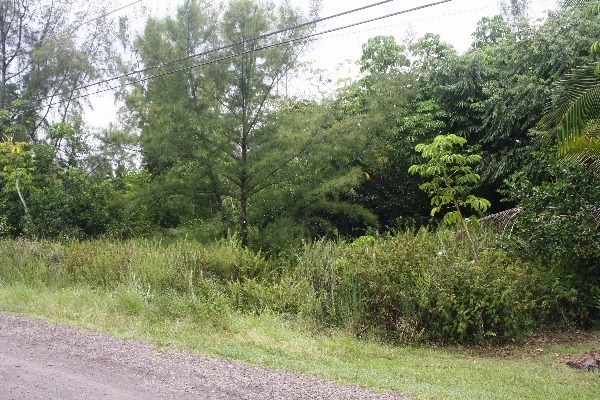 15-1909 Beach Road Keaau, HI 96749 - Photo 3 of 8 Gallery Image 3